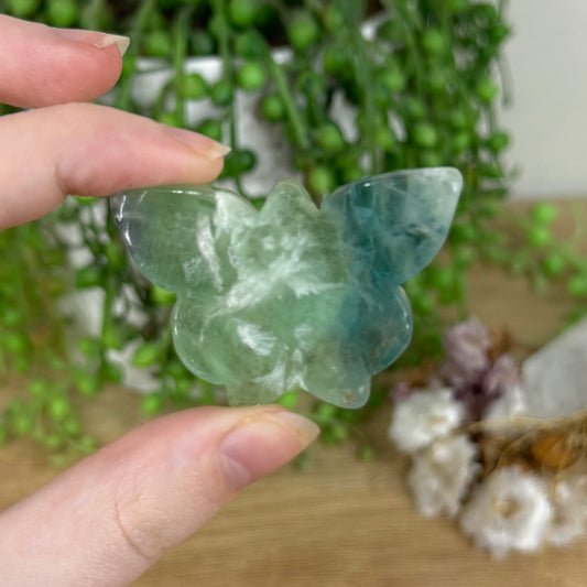 Green Feather Fluorite Butterfly (N114)