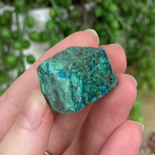 Malachite / Chrysocolla Free Form (R227)