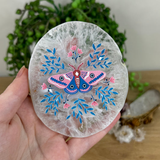 Pink / Blue Butterfly Agate Slice (L277)