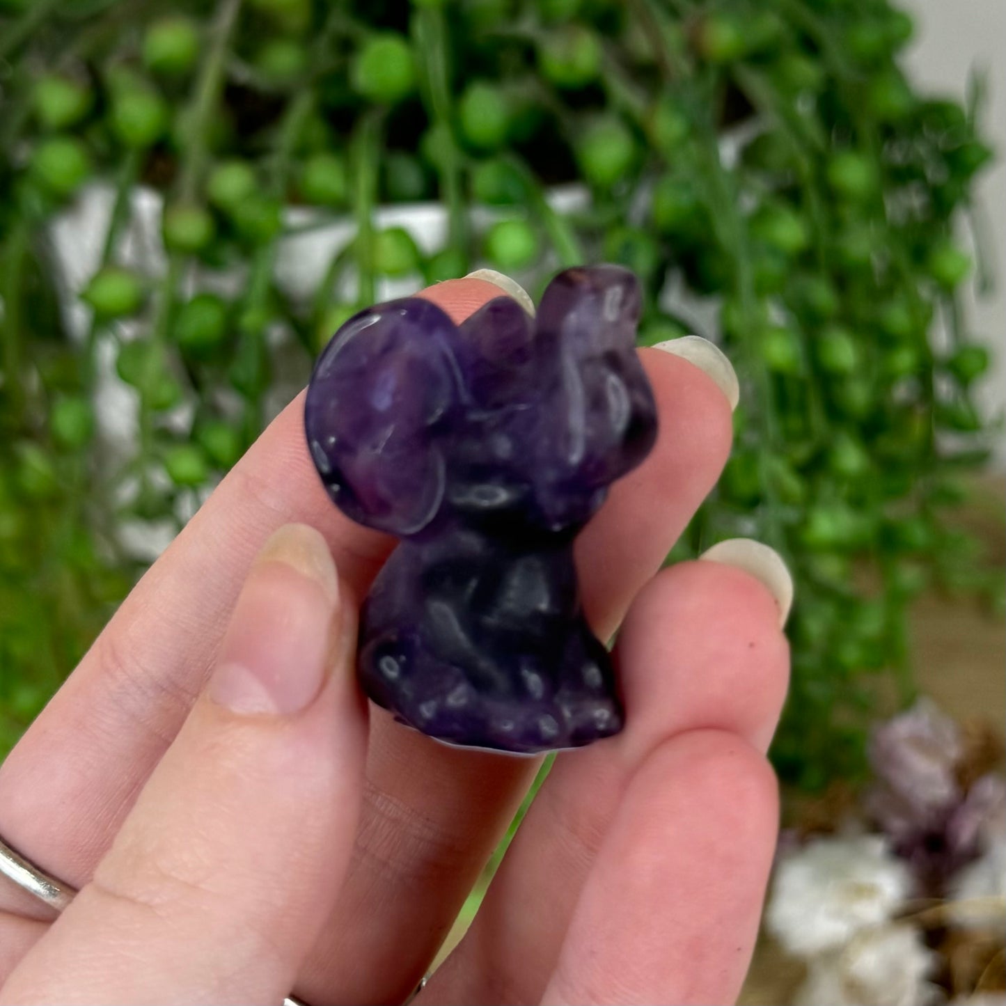 Purple Fluorite Sitting Elephant (N108)