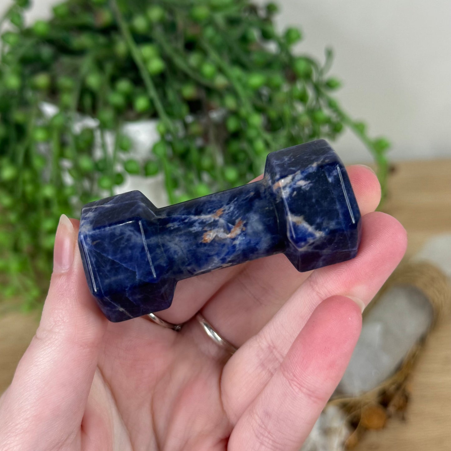 Sodalite Dumbbell (R583)