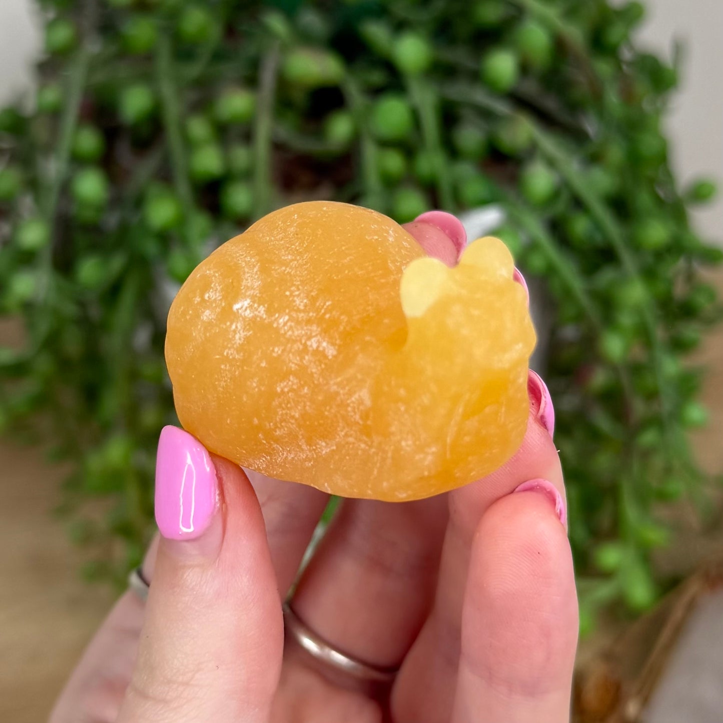Yellow Calcite Snail (X553)
