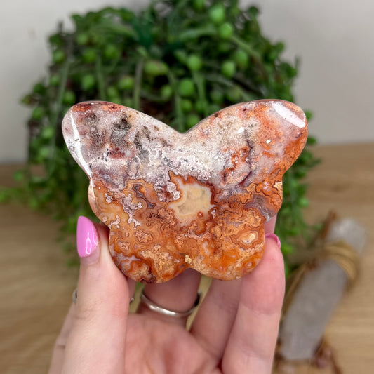 Pink Crazy Lace Agate Butterfly (X540)