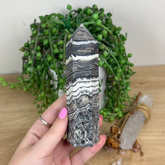 Dendritic Calcite Point (X566)