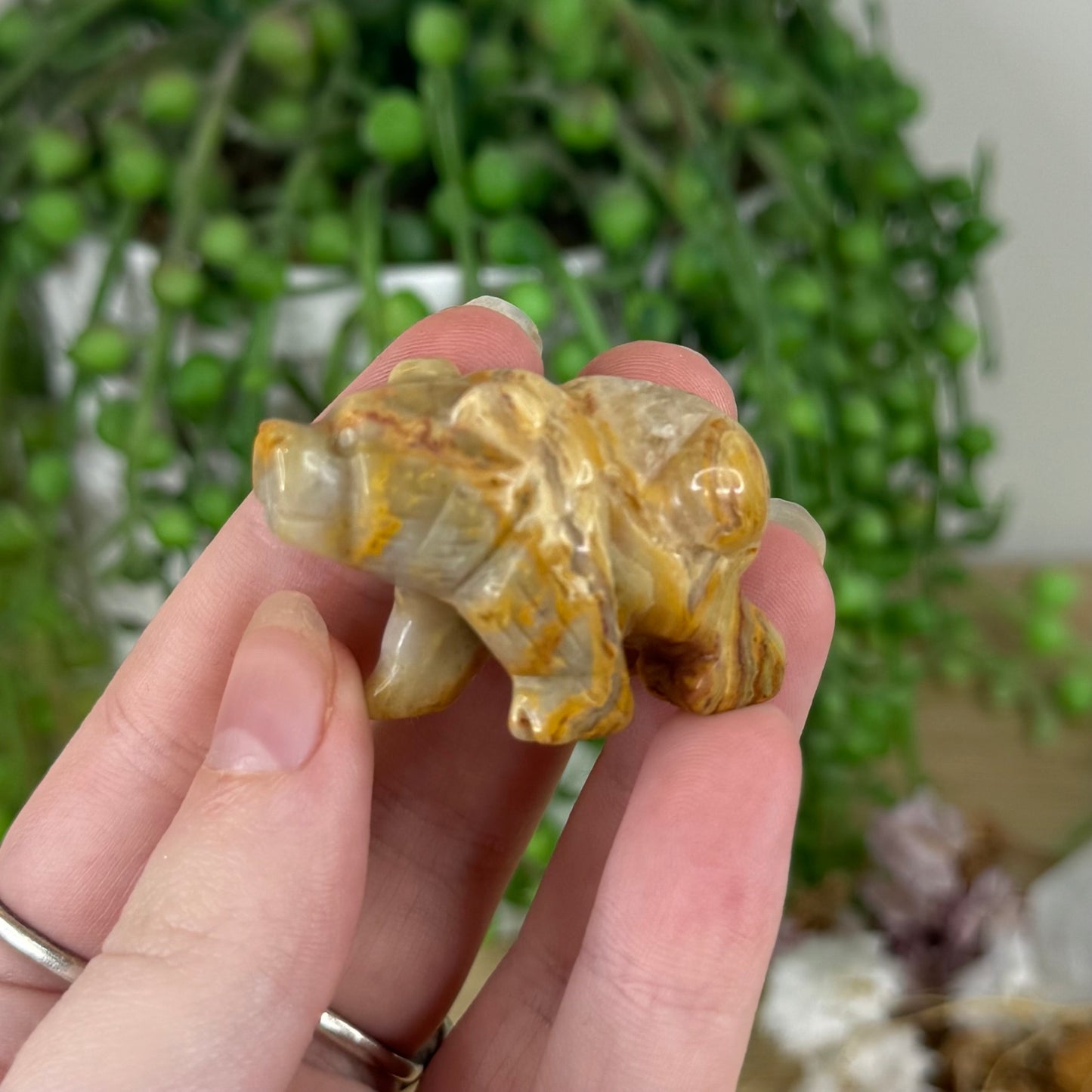 Crazy Lace Agate Bear (N648)