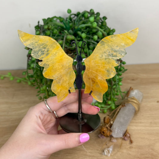 Golden Healer Butterfly Wings On Stand (X562)