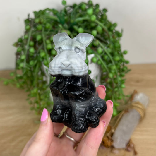 Yin Yang Schnauzer Dog (X550)