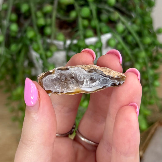 Druzy Agate Geode 4