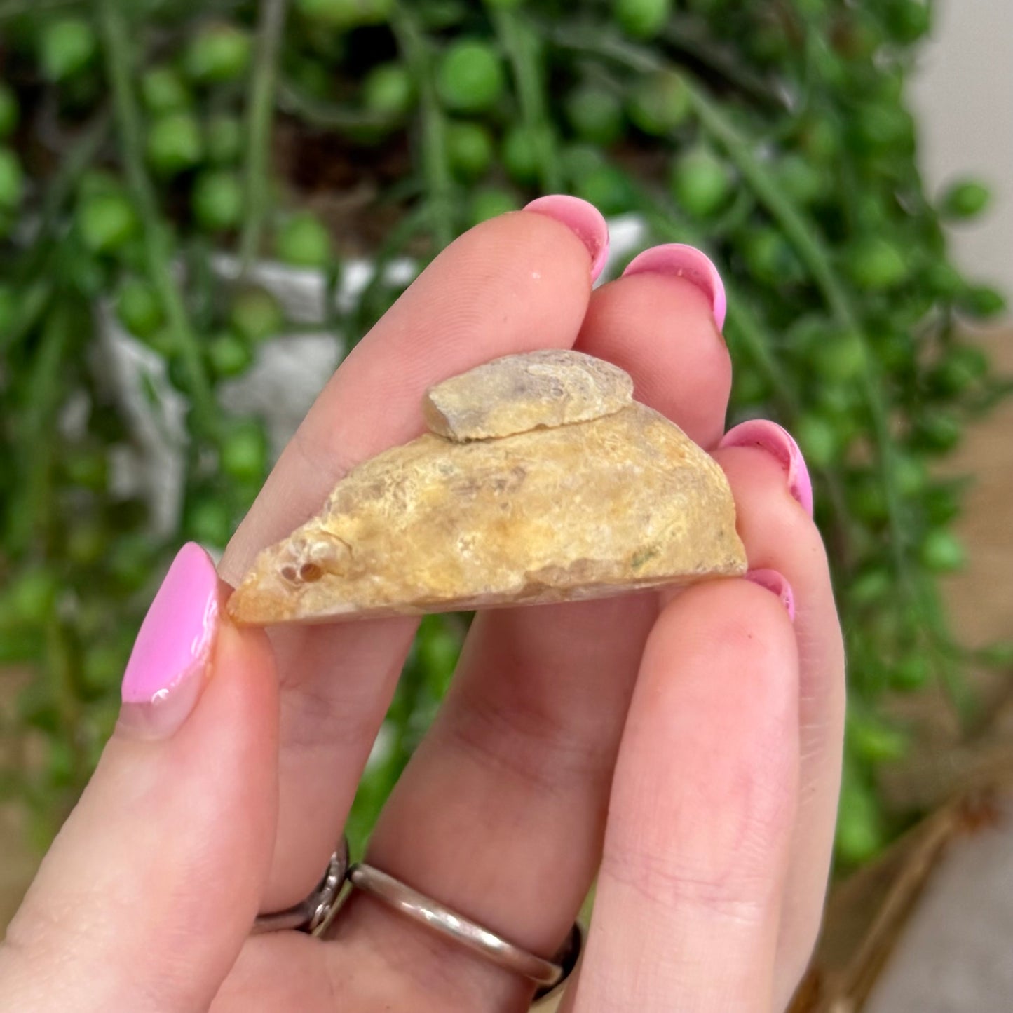 Druzy Agate Geode 5
