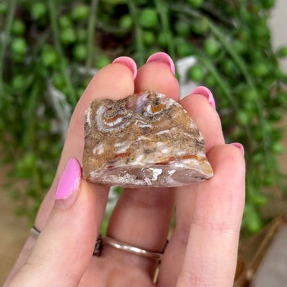 Druzy Agate Geode 8