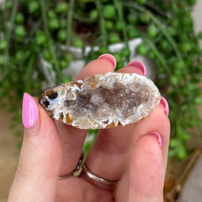 Druzy Agate Geode 13