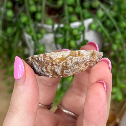 Druzy Agate Geode 13