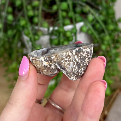 Druzy Agate Geode 14