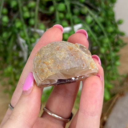 Druzy Agate Geode 14