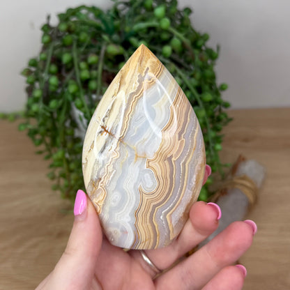 Crazy Lace Agate Arch Free Form (X612)