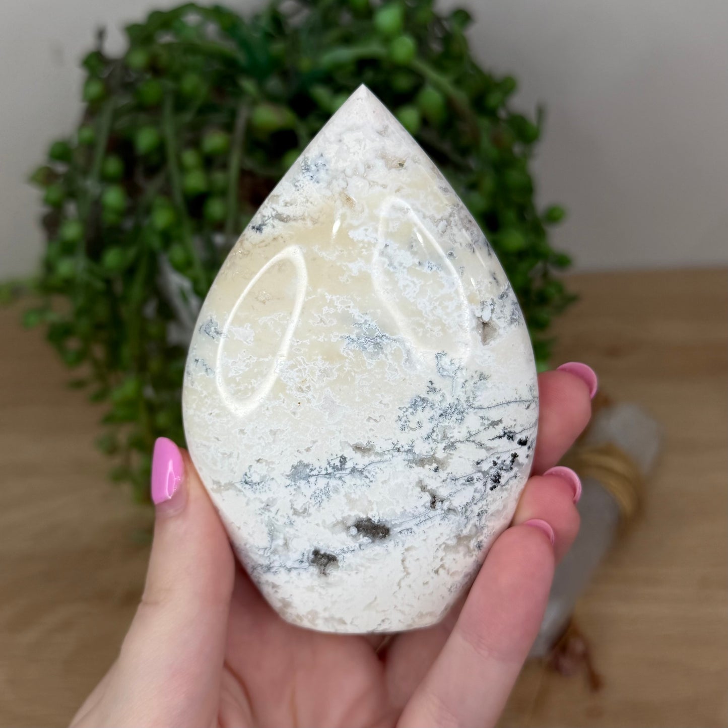 Dendritic Opal Arch Free Form (X648)