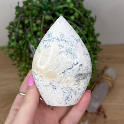 Dendritic Opal Arch Free Form (X649)