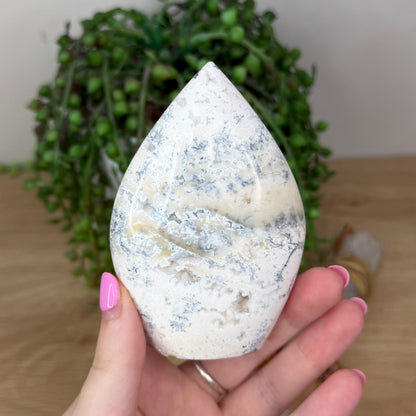 Dendritic Opal Arch Free Form (X649)