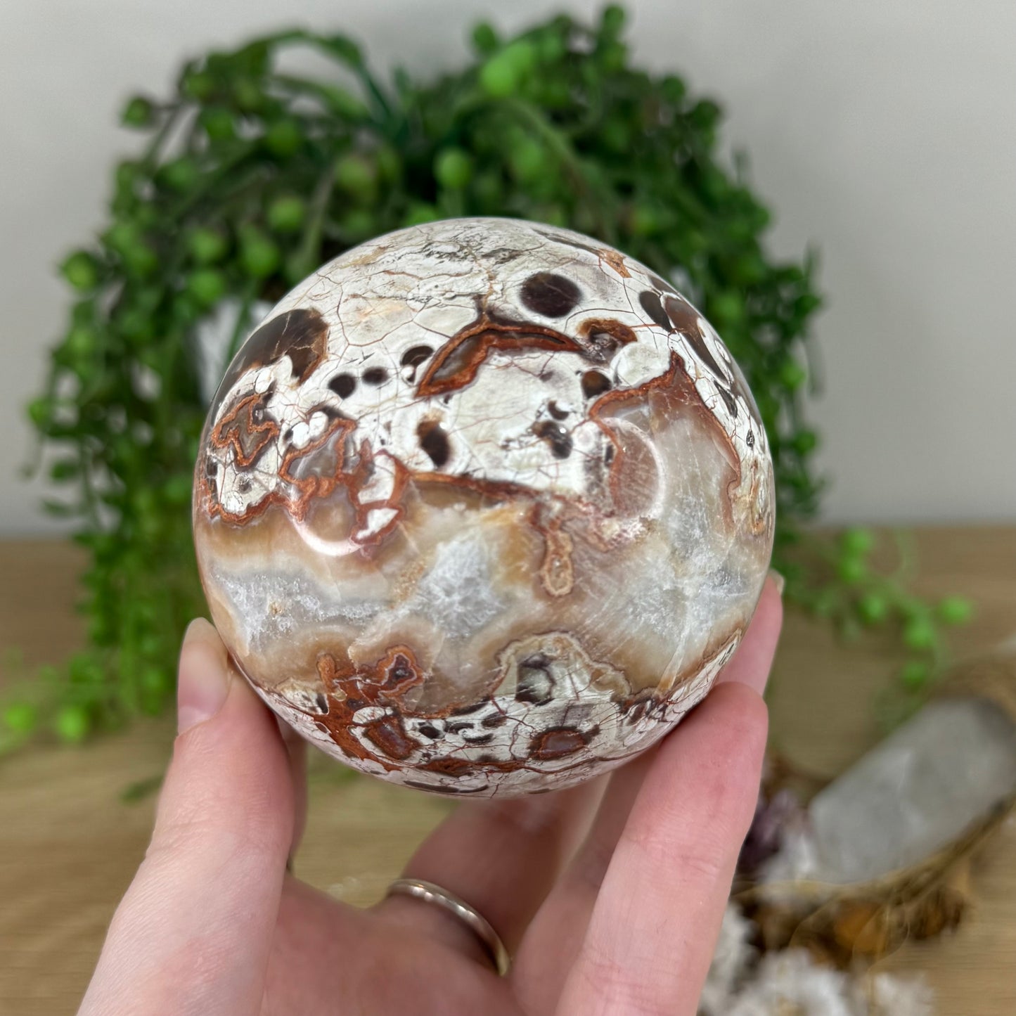 Money Agate Sphere (N441)