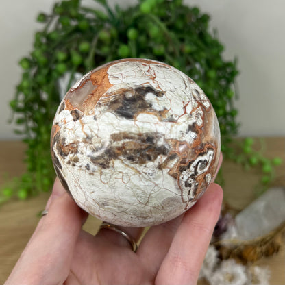 Money Agate Sphere (N441)