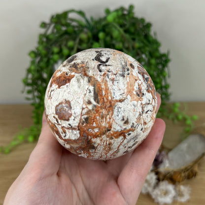 Money Agate Sphere (N442)