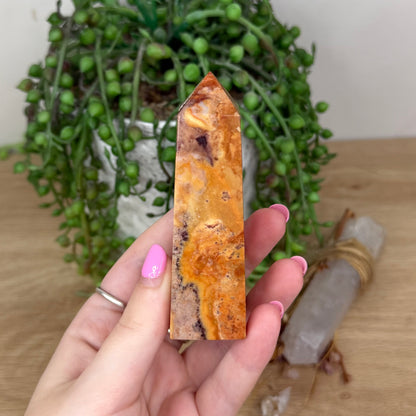 Pink Crazy Lace Agate Point (X591)
