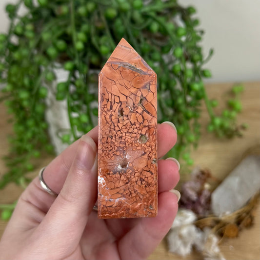 Pink Agate Point (R717)