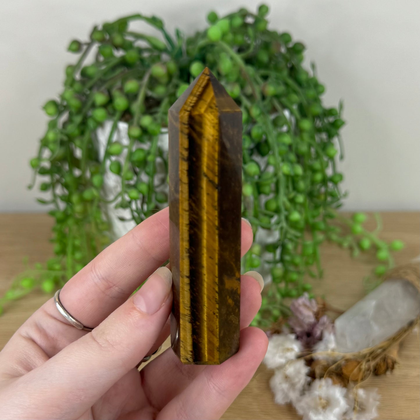 Tiger Eye Point (A391)