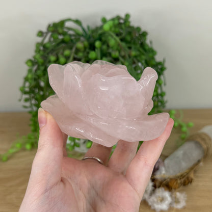 Rose Quartz Flower (N343)