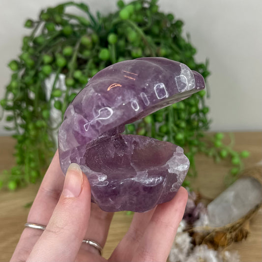 Purple Fluorite Clam Shell (N448)