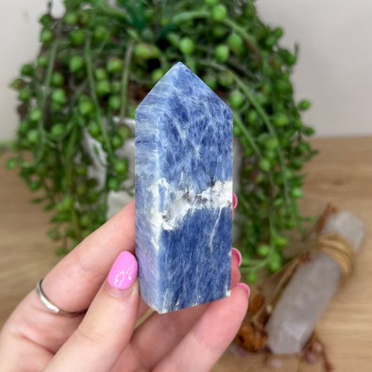 Blue Kyanite Point (X684)