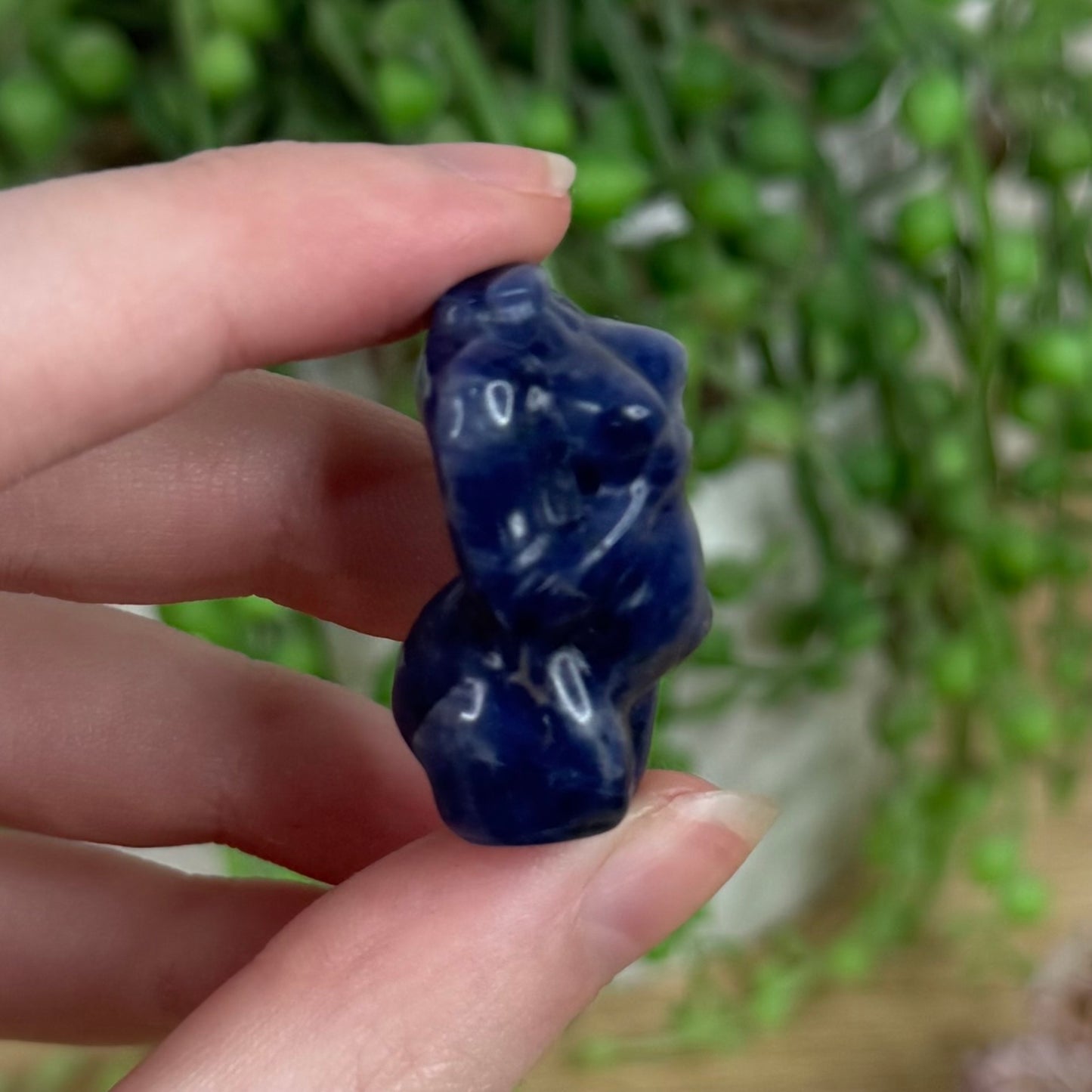 Sodalite Small Pregnant Body