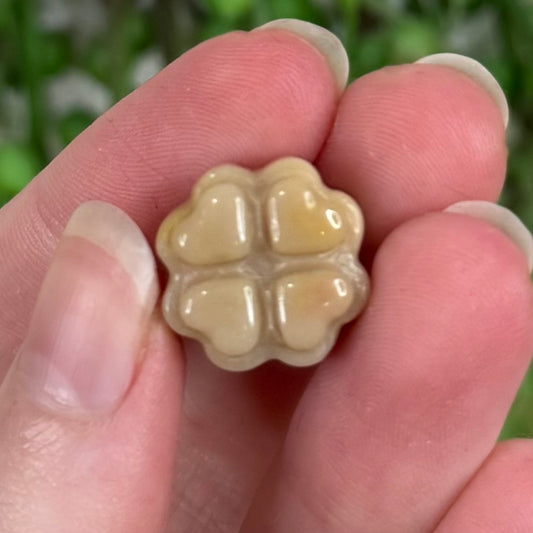 Alashan Mini Clover