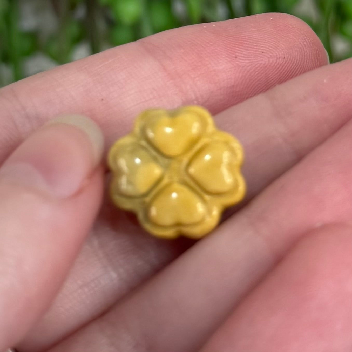 Alashan Mini Clover