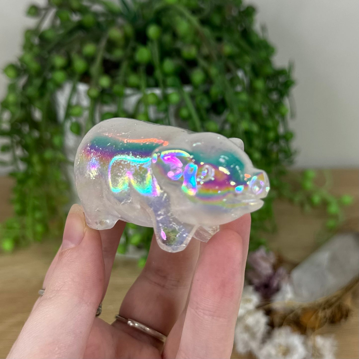 Aura Clear Quartz Pig (N395)