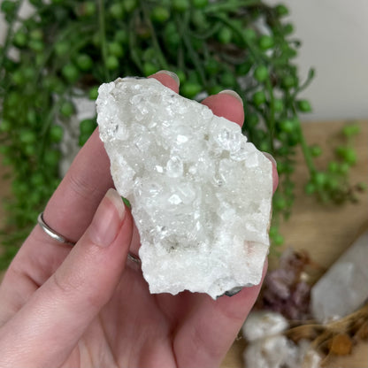 Apophyllite / Chalcedony Cluster (R552)