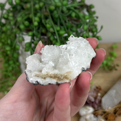 Apophyllite / Chalcedony Cluster (R552)