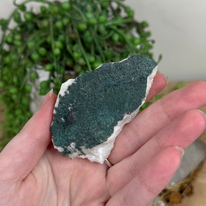 Apophyllite / Chalcedony Cluster (R552)