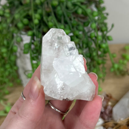 Heulandite / Stilbite Cluster (R550)
