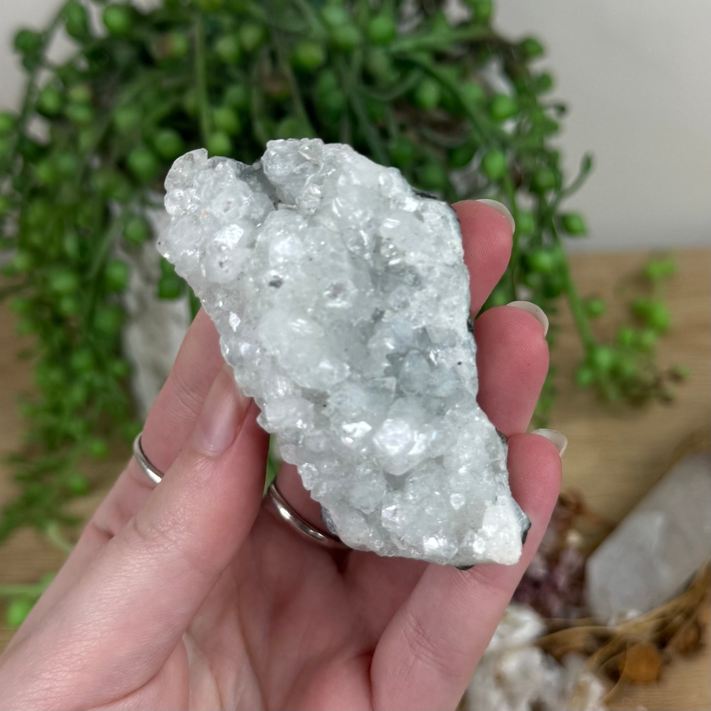 Apophyllite / Chalcedony Cluster (R549)