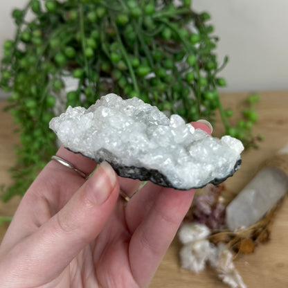 Apophyllite / Chalcedony Cluster (R549)