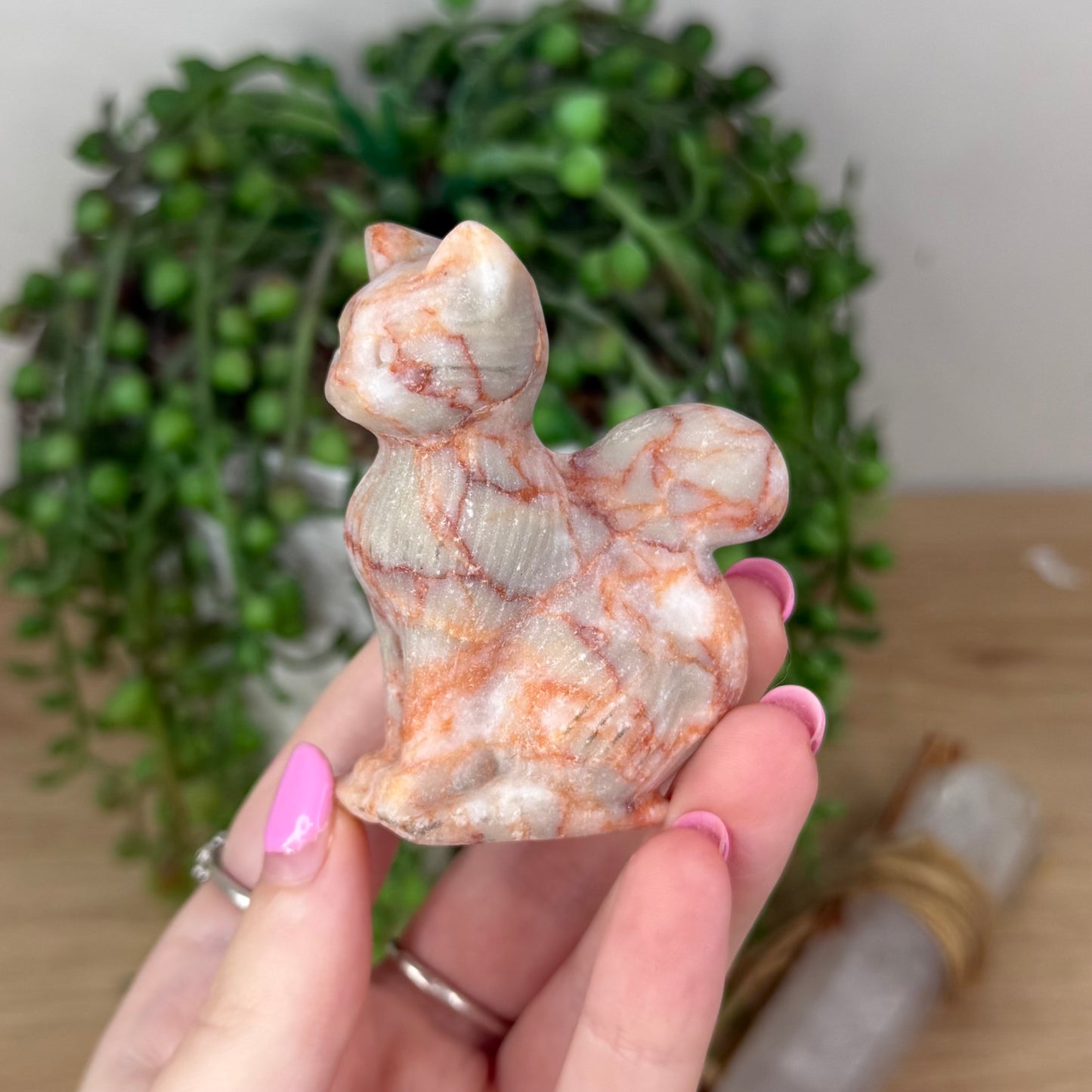 Red Vein Jasper Cat (X765)
