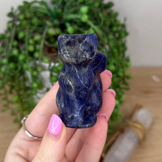 Sodalite Cat (X773)