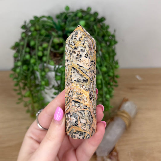 Leopard Skin Jasper Point (X699)