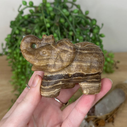 Chocolate Calcite Elephant (R761)