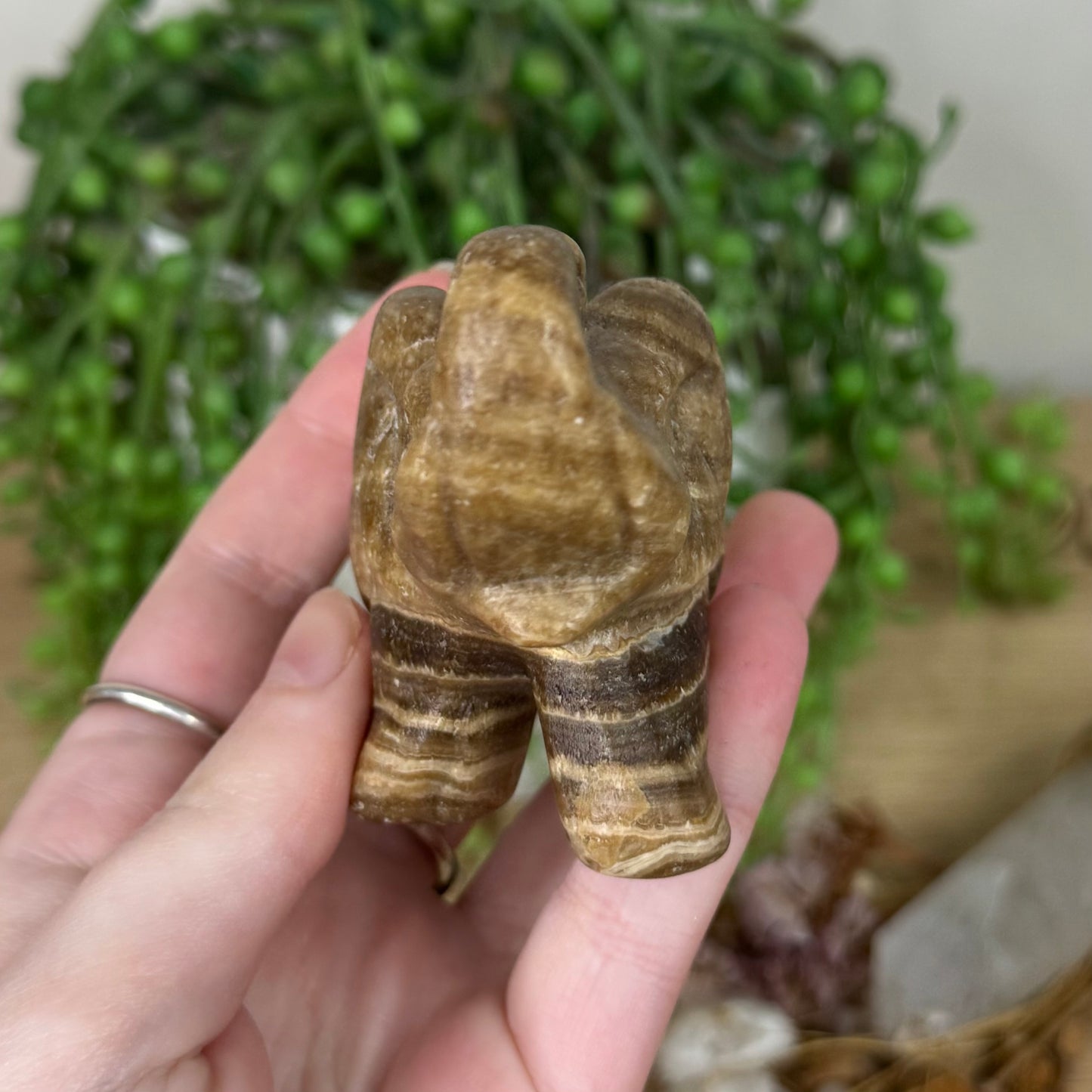 Chocolate Calcite Elephant (R761)