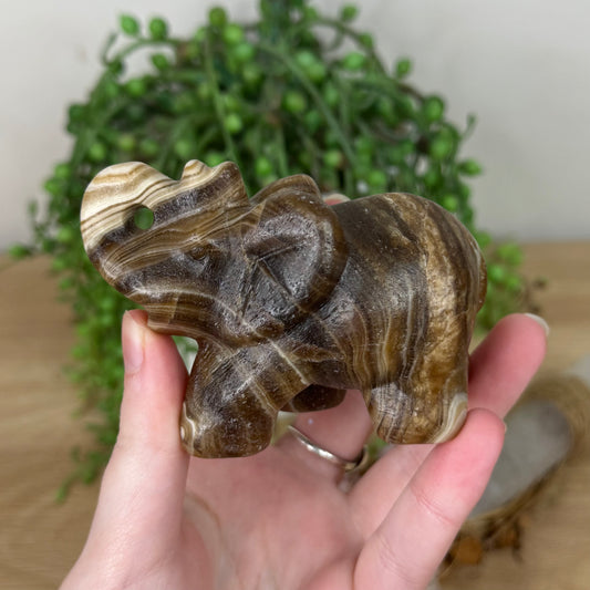 Chocolate Calcite Elephant (R762)