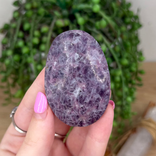 Unicorn Stone Palm Stone (X875)