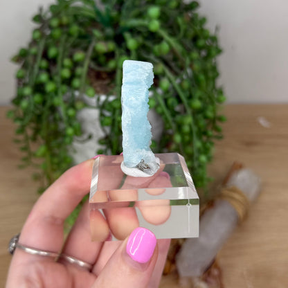 Blue Aragonite Specimen On Stand (X891)