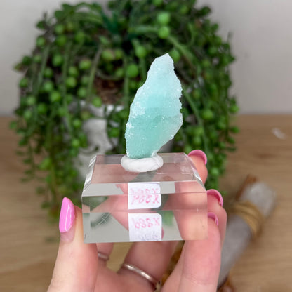 Blue Aragonite Specimen On Stand (X889)
